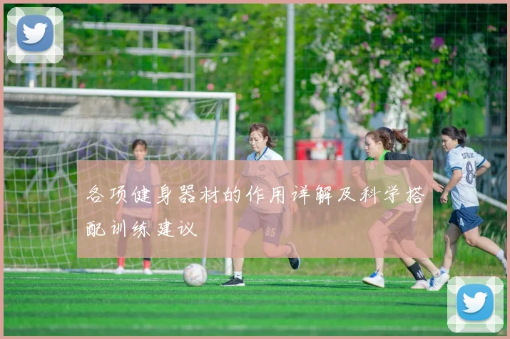 各项健身器材的作用详解及科学搭配训练建议