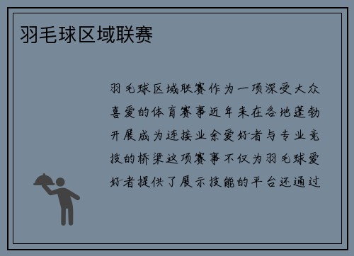 羽毛球区域联赛